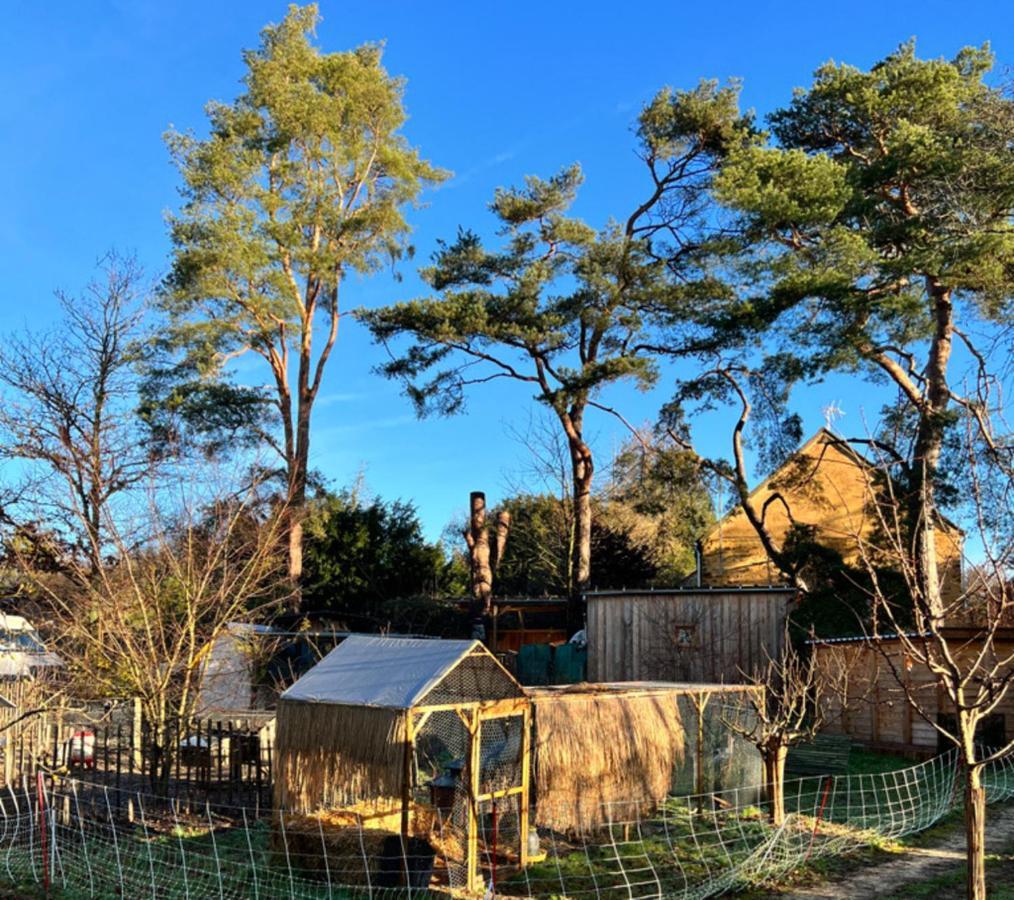 Ecolodge Beauregard Треньи Экстерьер фото