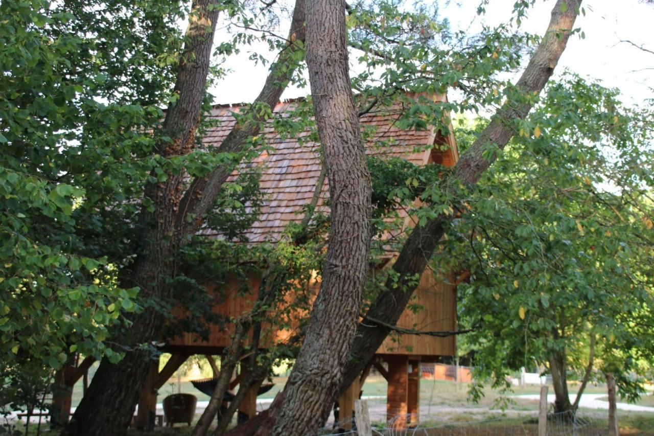 Ecolodge Beauregard Треньи Экстерьер фото